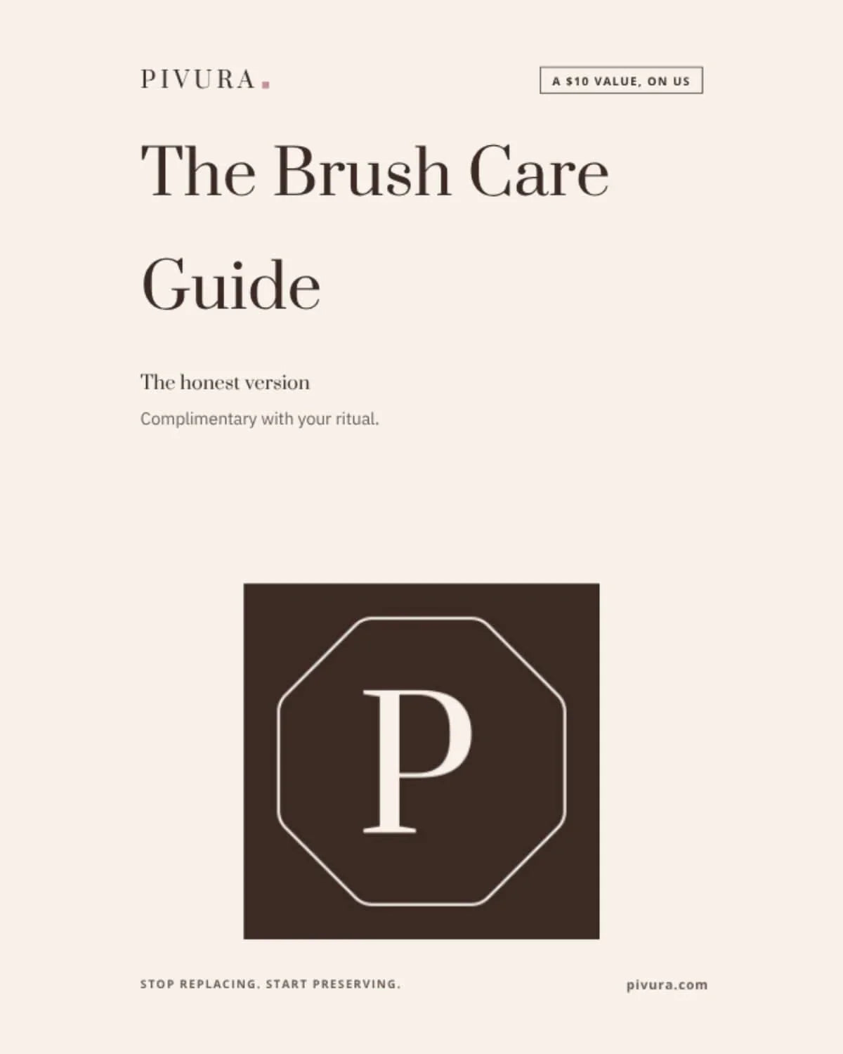 The Brush Care Guide
